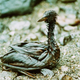 Image for article titled 30 years later, photos from the Exxon Valdez spill remain haunting
